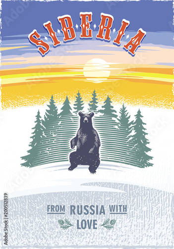 Сибирь, сидящий медведь на фоне елей, рассвет, Россия, любовь, цветной постер, иллюстрация, вектор
