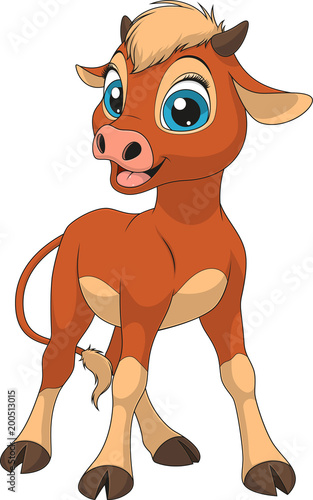 Funny little calf