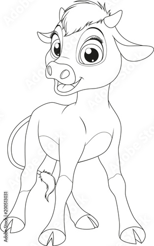 Funny little calf
