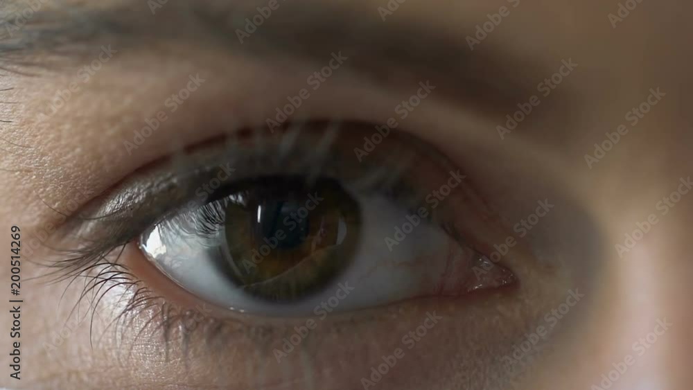 Female eye close-up looking at camera, health care, eyesight problem, beauty Female eye close-up looking at camera, health care, eyesight problem, beauty