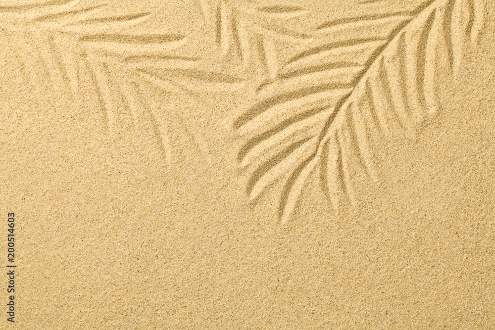 Palm Leaves Drawn in the Sand. Summer Background Palm Leaves Drawn in the Sand. Summer Background