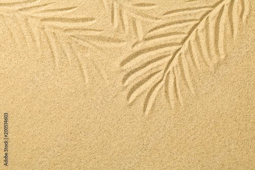 Palm Leaves Drawn in the Sand. Summer Background