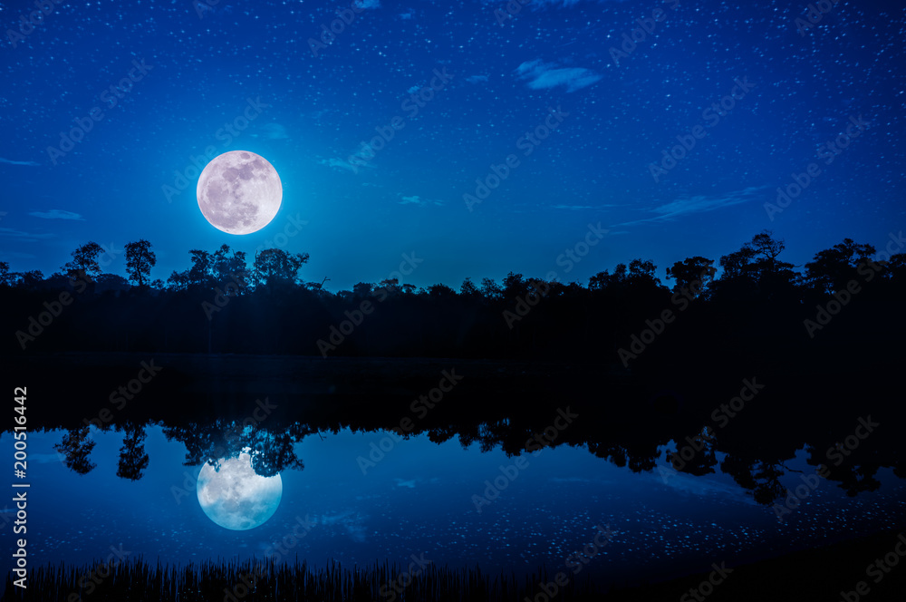 Fantasy sky and bright full moon above silhouettes of trees and lake.