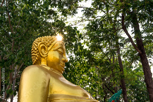 Buddha statue with trees.