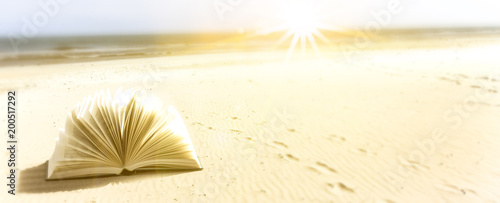 Buch am Meer
