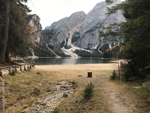 bosco al lago