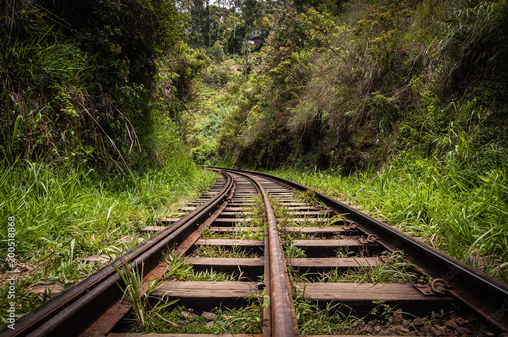 train rails crossing the jungle. Sri Lanka.