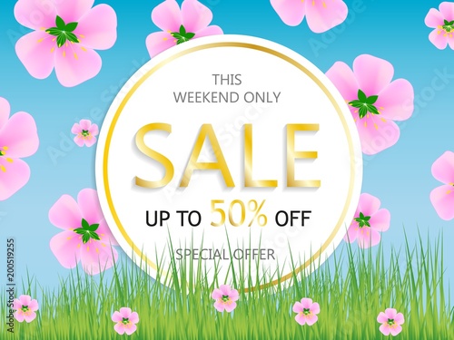 Sale, a discount of 50 percent, only this weekend. Template for flyer, banner for website. Vector illustration.