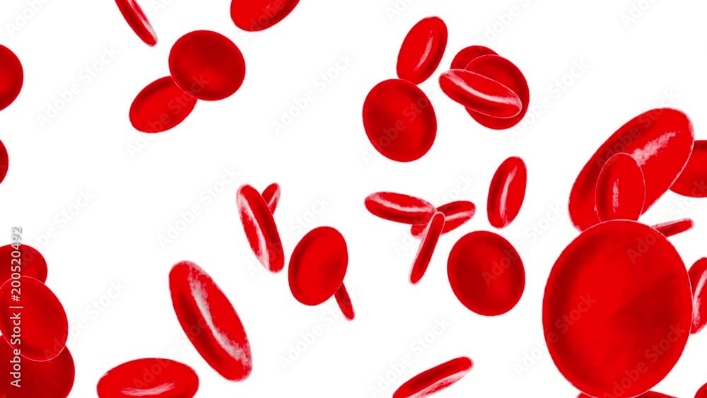 Flowing Erythrocyte aka Heamoglobin cells on a white background.
Flowing Erythrocyte aka Heamoglobin cells on a white background.