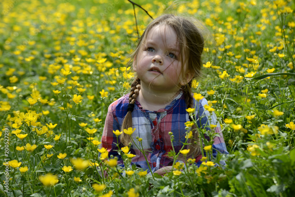 little girl walking on the field with yellow flowers little girl walking on the field with yellow flowers