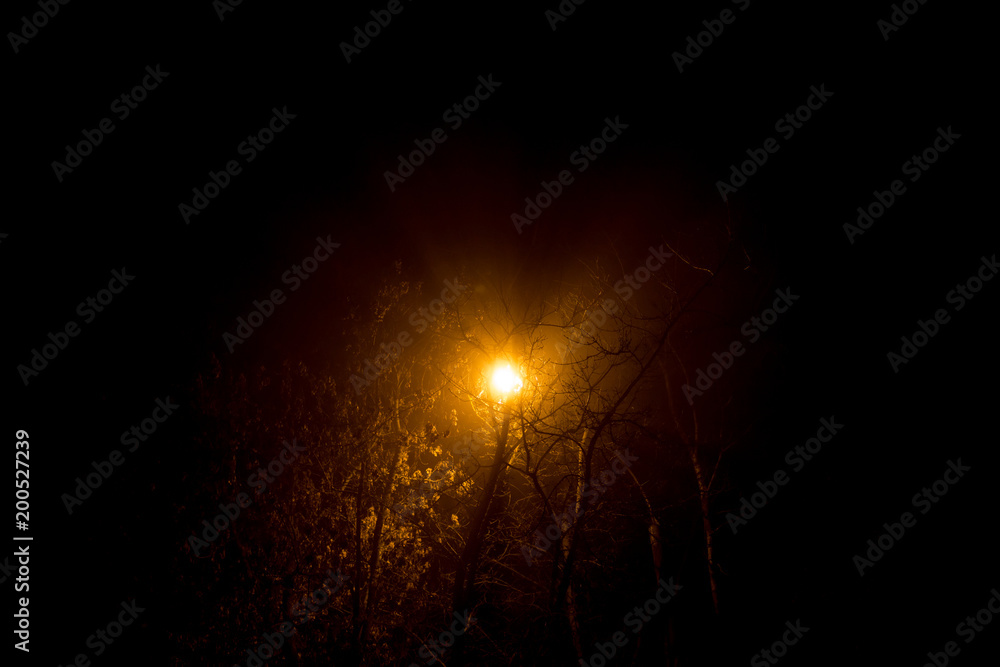Scattered light from a street lamp at night during a thick fog
Scattered light from a street lamp at night during a thick fog