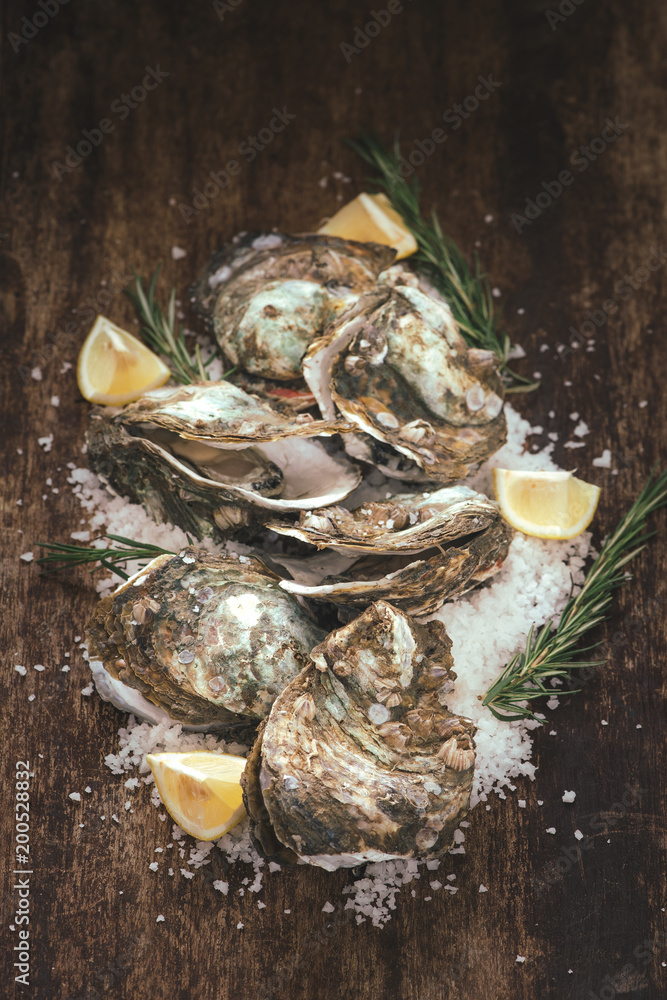 Dozen fresh oysters on the wooden and sea salt. Top view Dozen fresh oysters on the wooden and sea salt. Top view