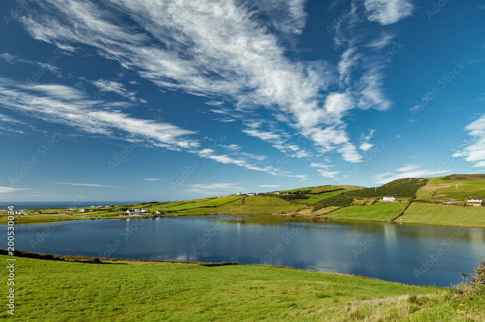 Colori tipici estivi irlandesi di verde brillante e cielo blu Bushmills Irlanda Colori tipici estivi irlandesi di verde brillante e cielo blu Bushmills Irlanda