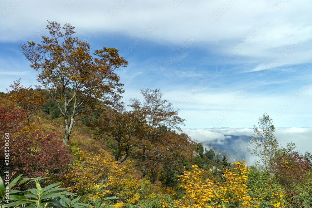 紅葉と雲海　秋の三方岩岳登山
