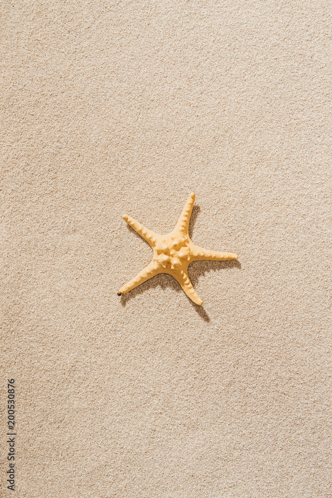 top view of dry starfish lying on sandy beach top view of dry starfish lying on sandy beach