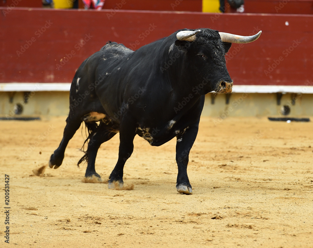 animal tradicional español animal tradicional español