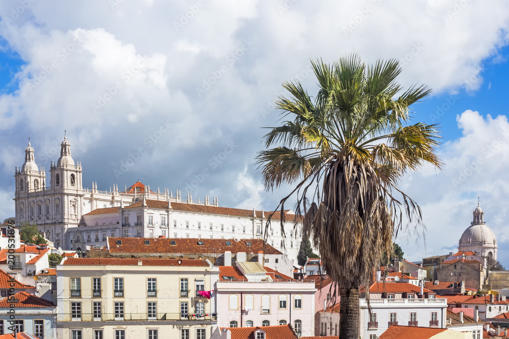 Blick auf Lissabon, Portugal, und die Kathedrale Santa Maria Maior mit Palme im Vordergrund