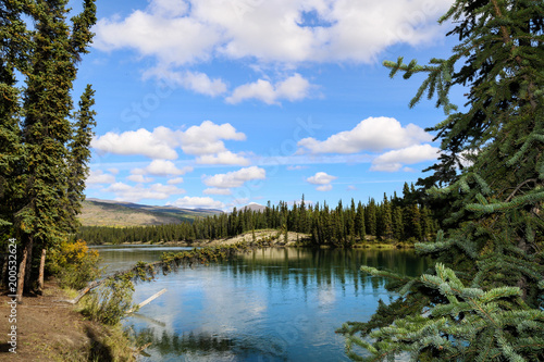 Takhini river  Yukon