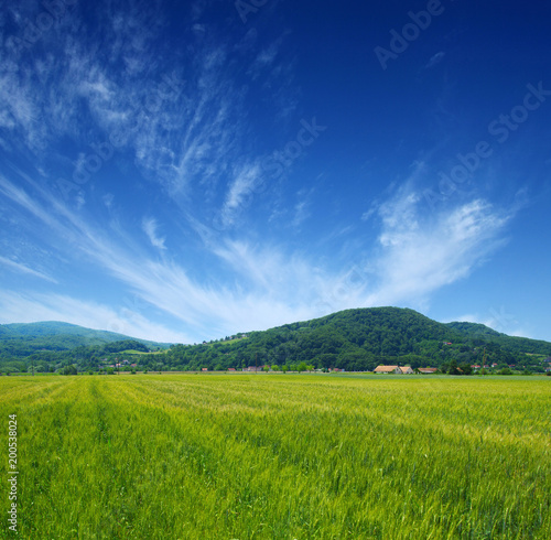 Mountain landscape summer