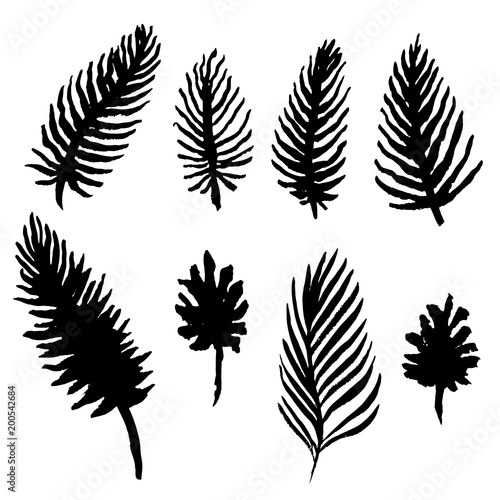 Watercolor palm tree leaves set. Black and white fronds collection. Vector illustration isolated on white background.