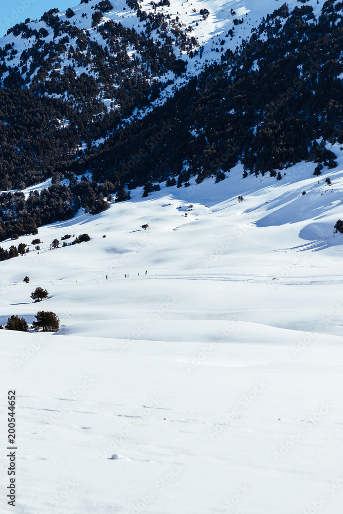 Snowy landscape Snowy landscape