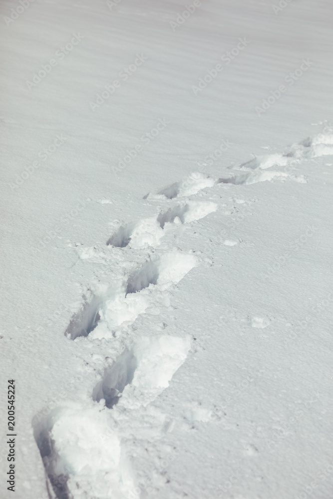 Footprints in the snow