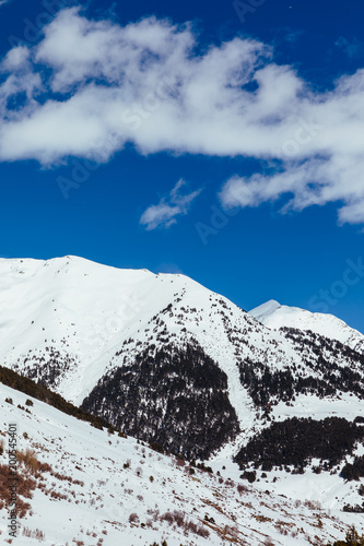 Snowy landscape photo