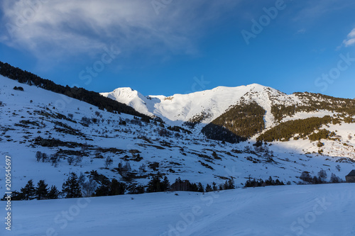 Snowy landscape