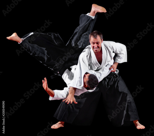 Two martial arts fighter
