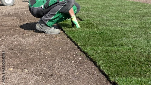 Rollrasen wird verlegt (Laying rolled turf)
