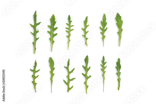 top view of rocket rukola salad on white background in two rows  artistically arranged