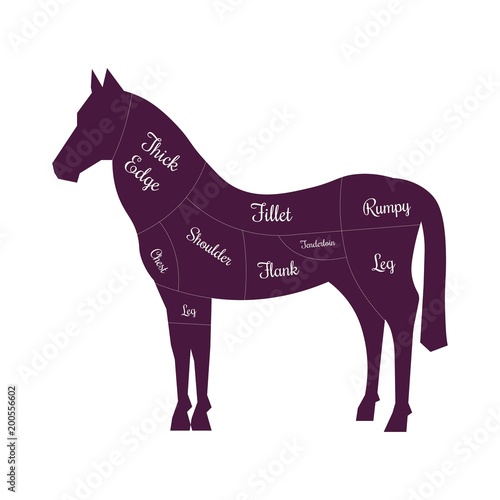 Horse meat cuts butcher vector icon