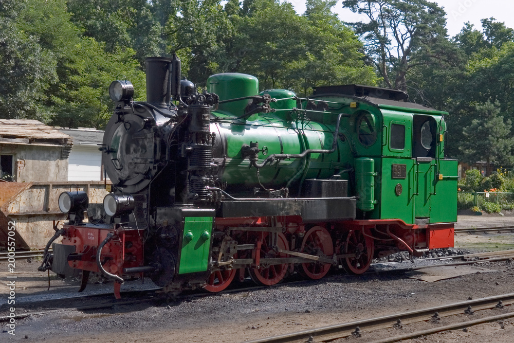 Fototapeta premium Dampflok Rasender Roland auf der Insel Rügen