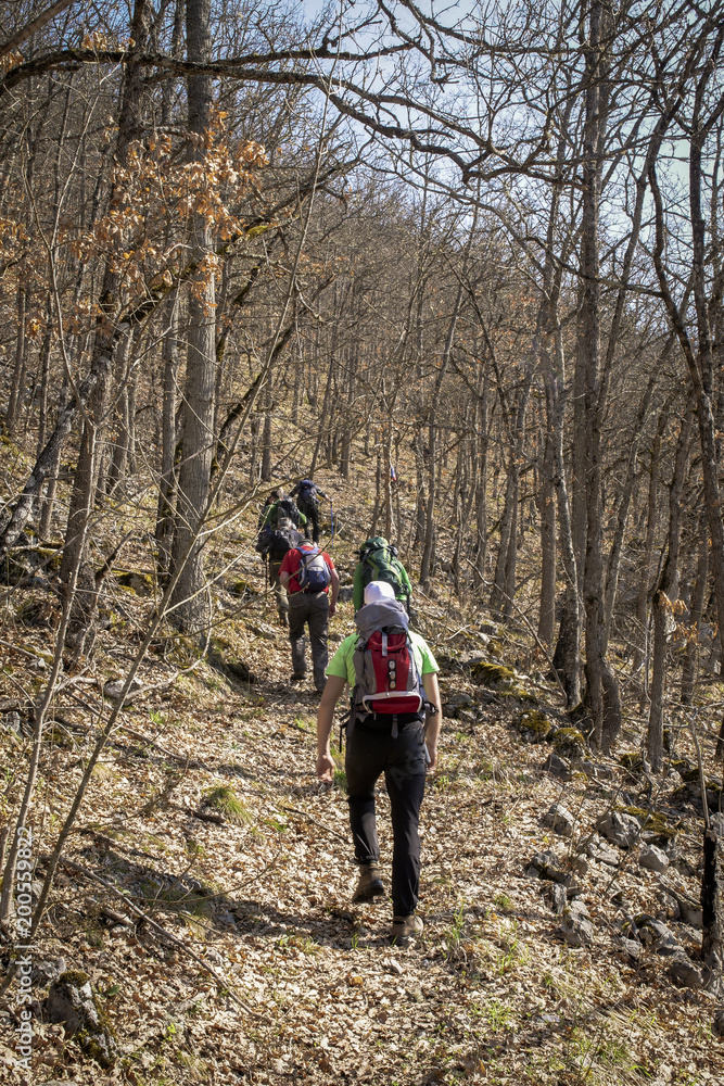 Naklejka premium Group of friends walking along hiking trail path. Hikers on their adventure.