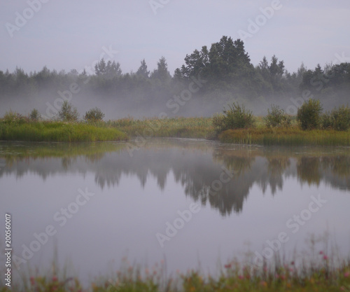 landscape with reflection of forest trees, meadow bushes and mist in the lake water in a warm sunset light of late nordic evening in summer.