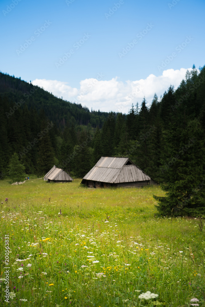 Two huts on a meadow on the mountains in Zakopane, Poland.
