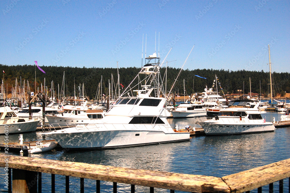 Naklejka premium Yachts in the Marina