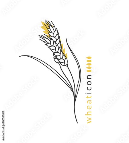 Wheat ears. Vector illustration in a modern line style. Icon, symbol, sign for brewery or bakery.