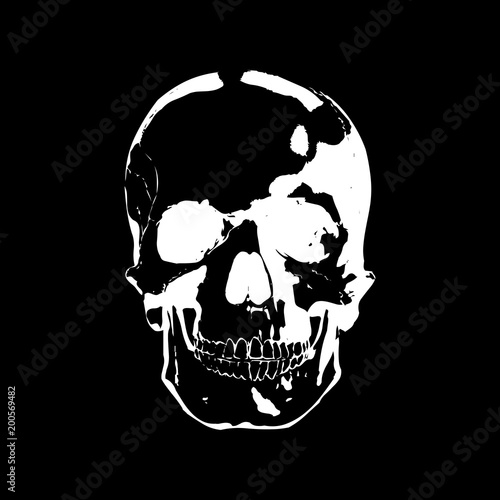 Black and white human skull