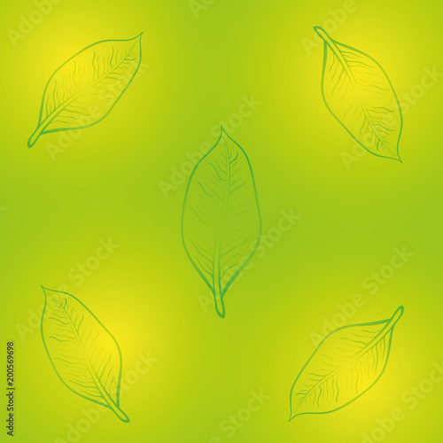 leaves