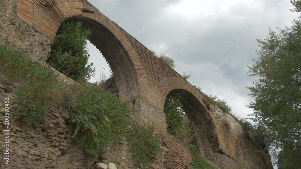Brick arches and plants Brick arches and plants