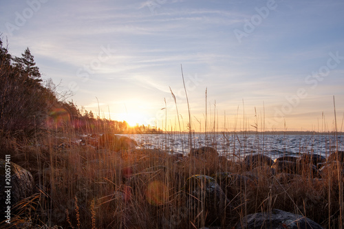 sunrise at the lake, with reeds in the foreground © Kilman Foto