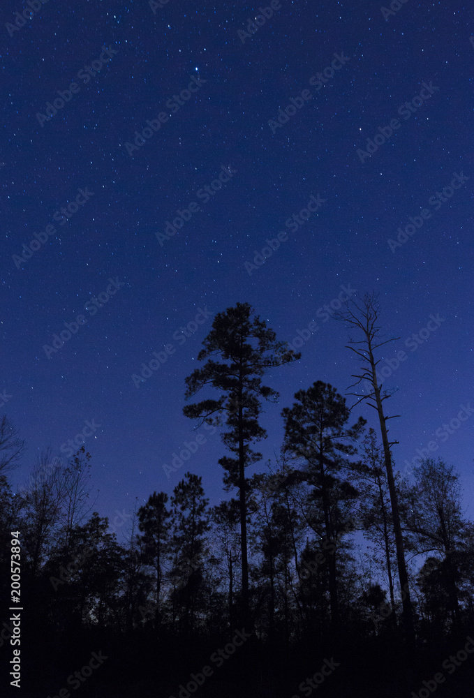 North Carolina night sky North Carolina night sky