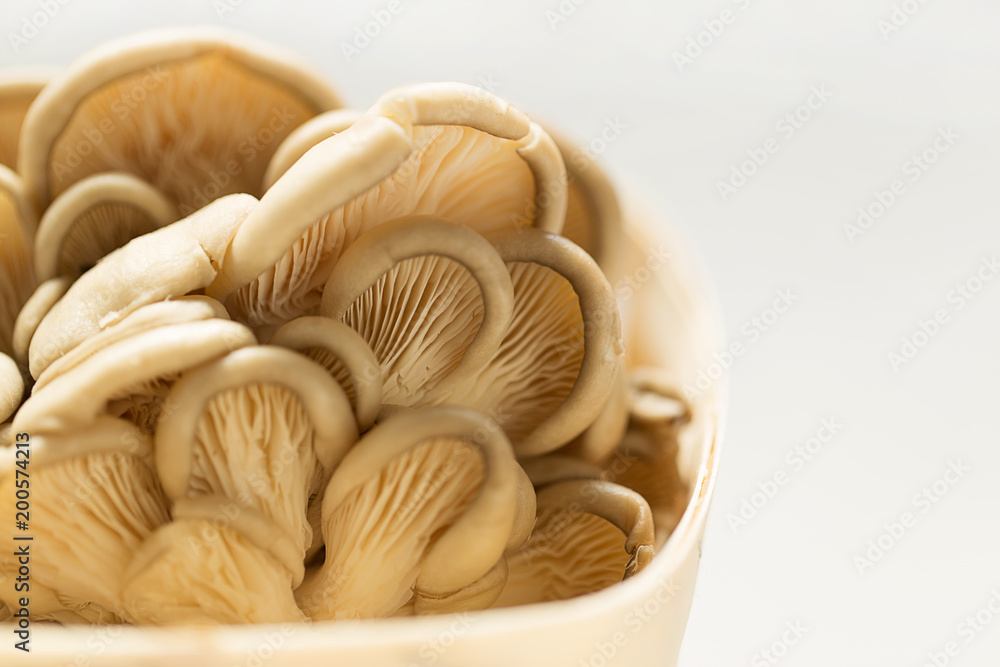 Bunch of fresh oysters mushroom on the wooden basket.