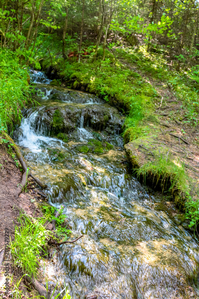 Forest stream Forest stream