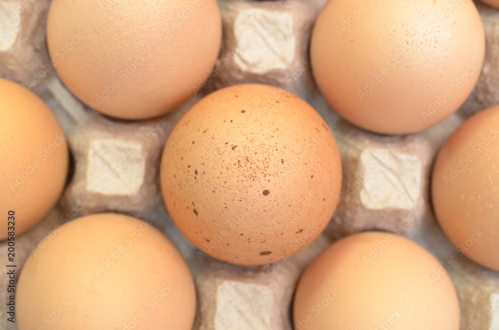 Brown eggs with one freckled egg in a cardboard tray. Brown eggs with one freckled egg in a cardboard tray.