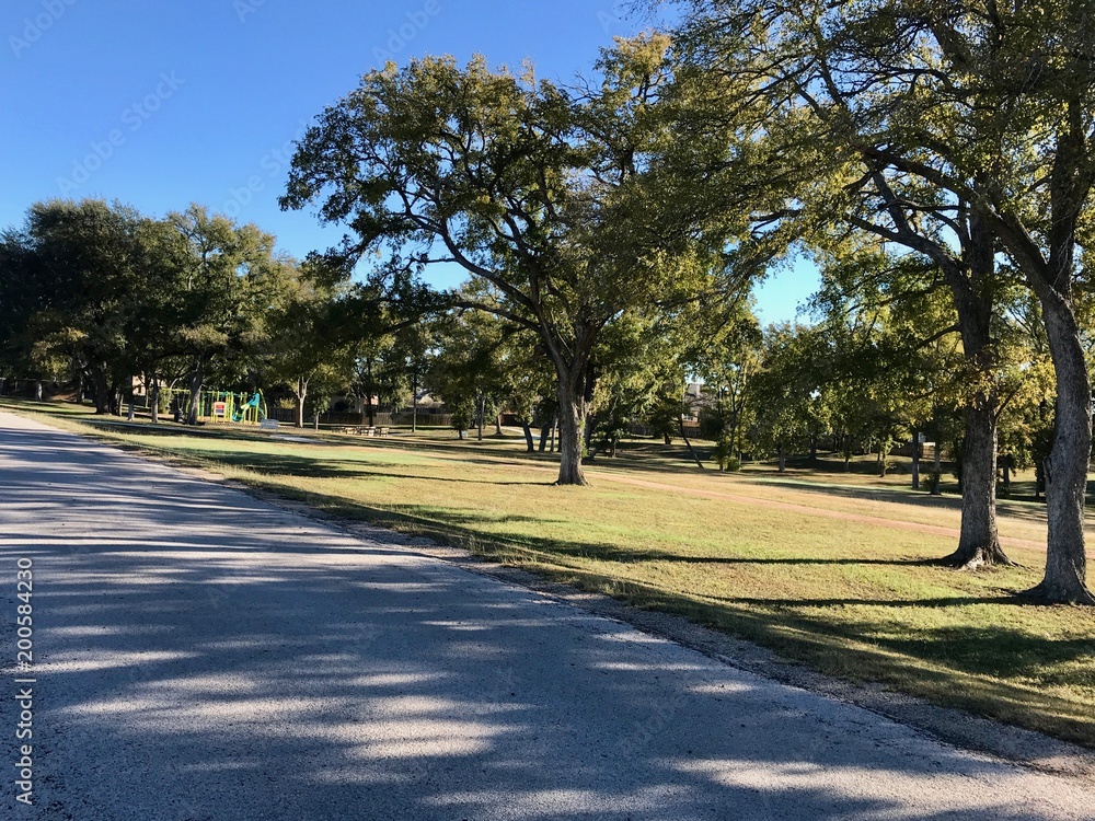 Tree Filled Park