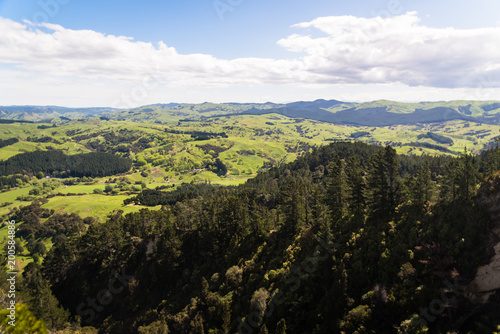 Fototapeta Naklejka Na Ścianę i Meble -  A green landscape view of hills and forests in new Zealand. 