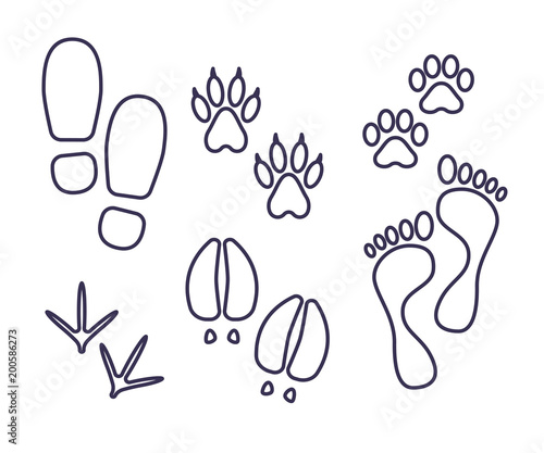Traces of human and amimals, outline tracks, trials of cat, dog, bird, cow, human