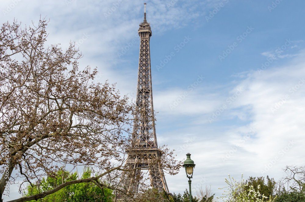 The Eiffel Tower in springtime, Paris
